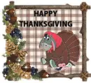HAPPY THANKSGIVING