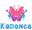 Kadence Butterfly and Guitars