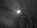 This night whispers my name