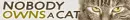 Nobody owns a cat...