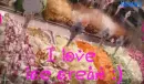 i love ice cream