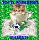GOOD MORNING FRIEND