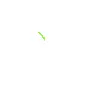 Green Butterfly