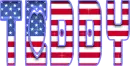 Teddy American flag