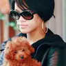 Rihanna & her puppy