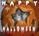 halloween cats