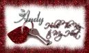 andy