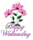 Happy Wednesday