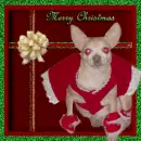 MERRY CHRISTMAS