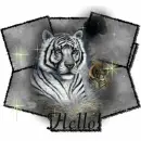 Hello~White Tiger