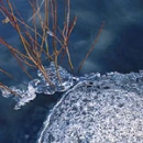 River ice