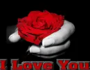 I LOVE YOU