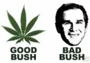 good and bad