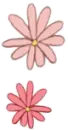 PINK FLOWERS