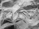 Feet in sand