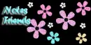 Colored Daisies - Contact Table