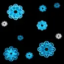 Blue Flowers