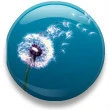 flying dandelion button