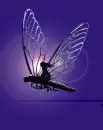 fly