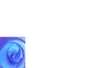 blue swirls
