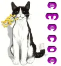 Amanda flower cat