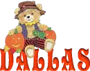 Dallas halloween teddy