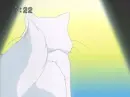himiko`s cat