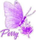 Perry