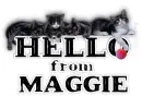 MAGGIE Kitties Hello 