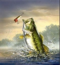 bass