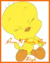 STEPH