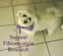 support fibromyalgia research