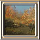 trees in the fall season