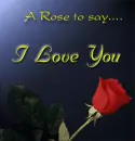 love you