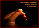 Bible Verse