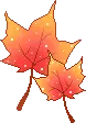 FALL LEAVES