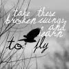 black bird fly