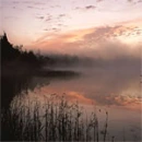 Evening reflections
