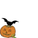 Pumpkin bat