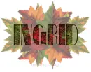INGRID Fall Leaves 