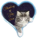 Mel