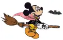 Mickey in broom