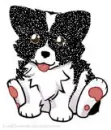 Cute dog
