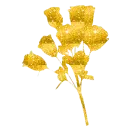 Golden rose
