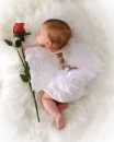 baby