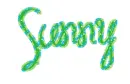 Sunny