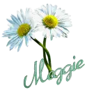 meggie,