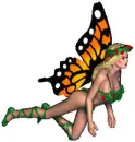 christmas pixie