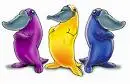 animals