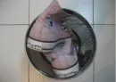 CONVERSE !!